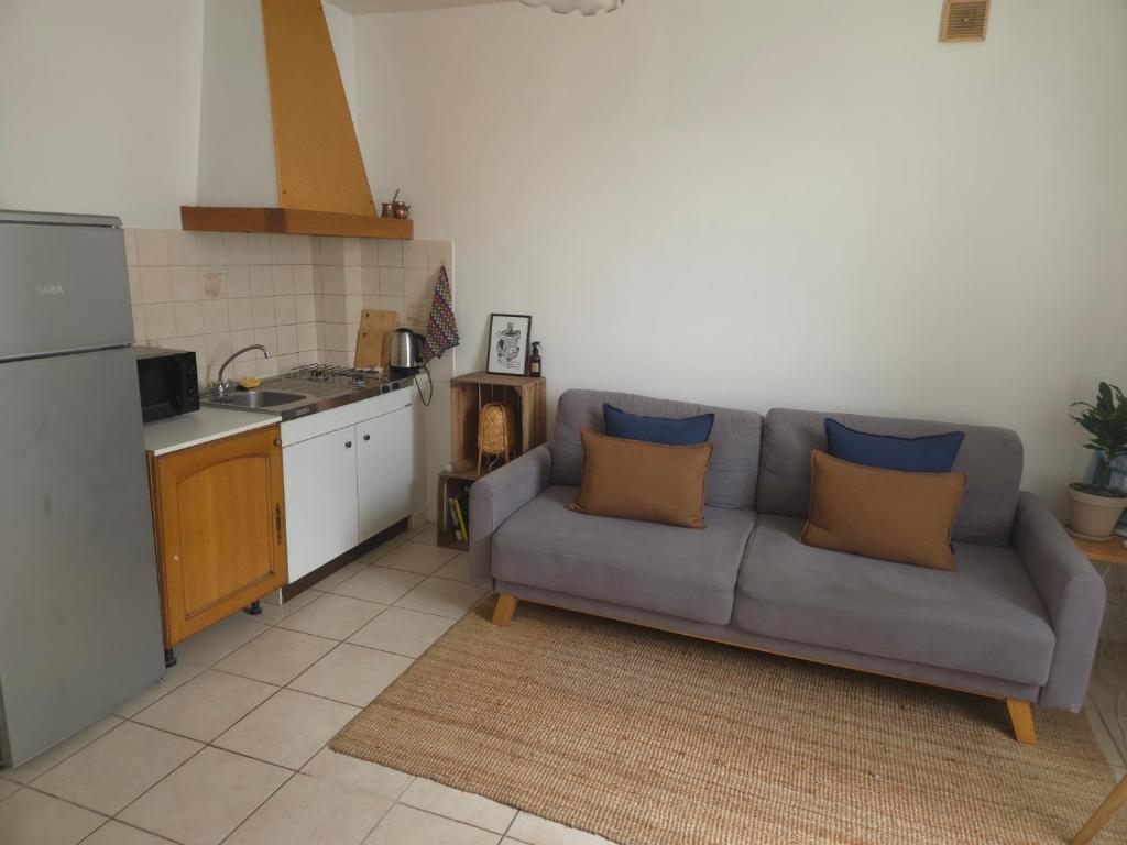 1 bedroom apartment near town centre and CHU - 1