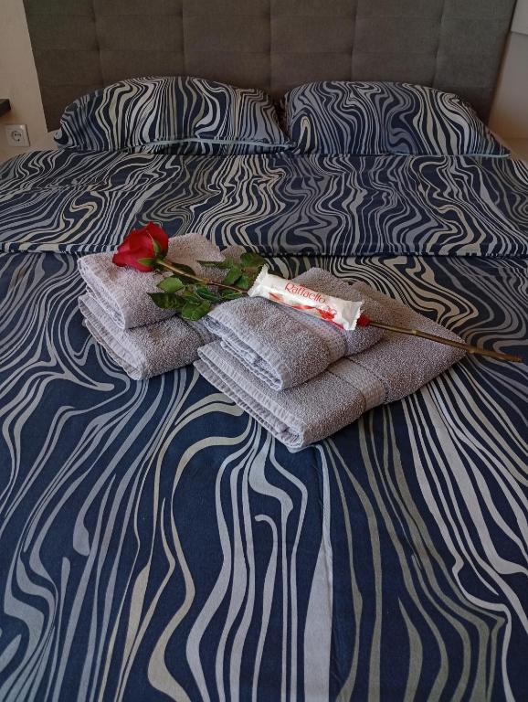 Apartman Slađa - 3