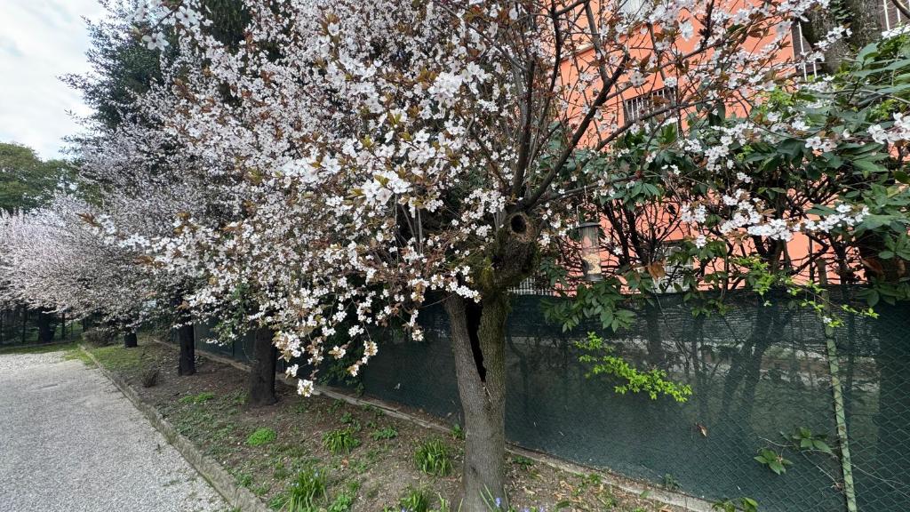Tamburini 38 Vintage Apartment Near City Center, Parking Included - 2