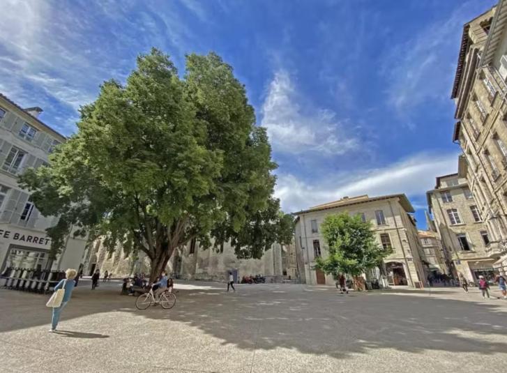 Loft lumineux - Avignon Centre - Wi-Fi - 3