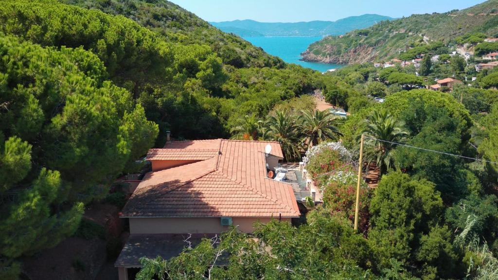 Appartamenti Villa Pineta Mare - Goelba - 3