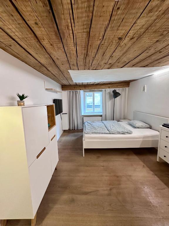 Modern Living in a Historical Surrounding - 3