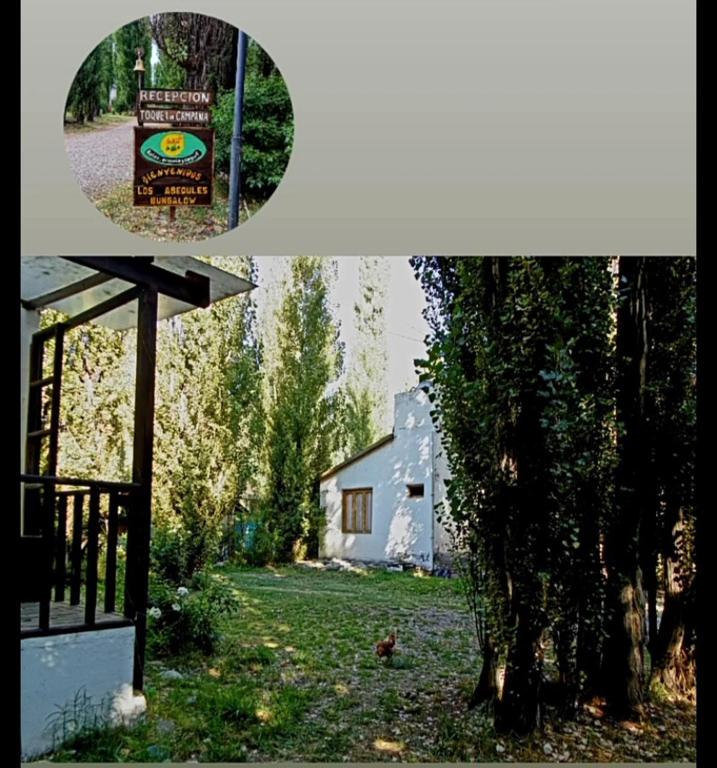 Los Abedules Bungalow - homestay - 3