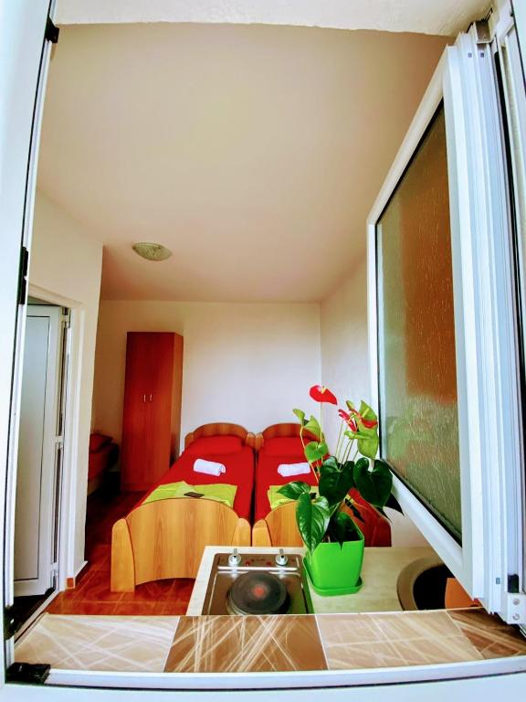 Apartments Belvedere - 2