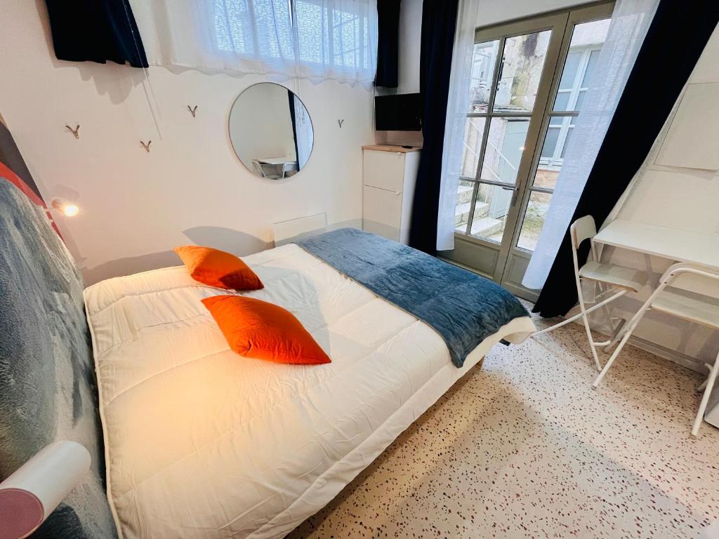 Studio central face Loire et Château le 4-3 - 5