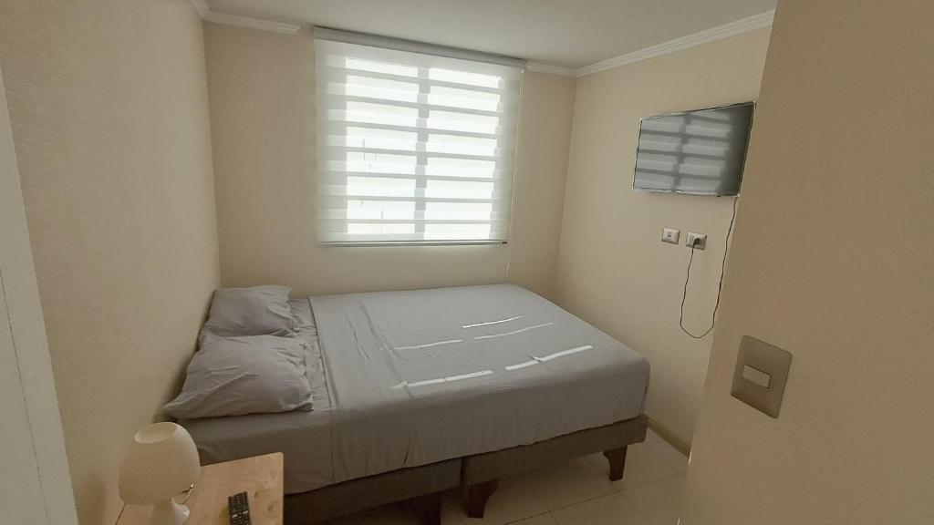 Apartment for rent near the beach - 5