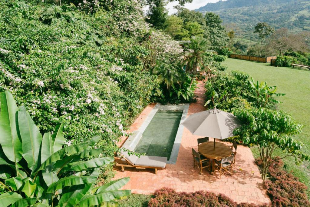HACIENDA LA SIERRA Finca cafetera de lujo Fredonia - 3