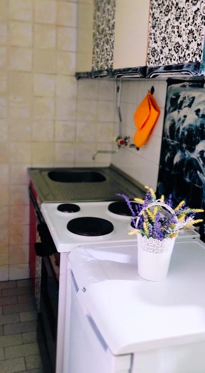 Montenegrina apartment - 4