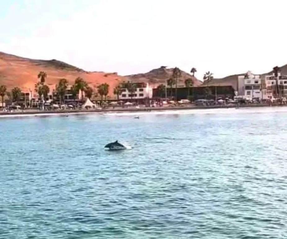 Casa Delfín Cerro Azul 160 m - 4