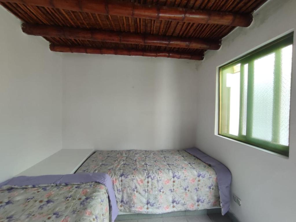 Casa Delfín Cerro Azul 160 m - 5