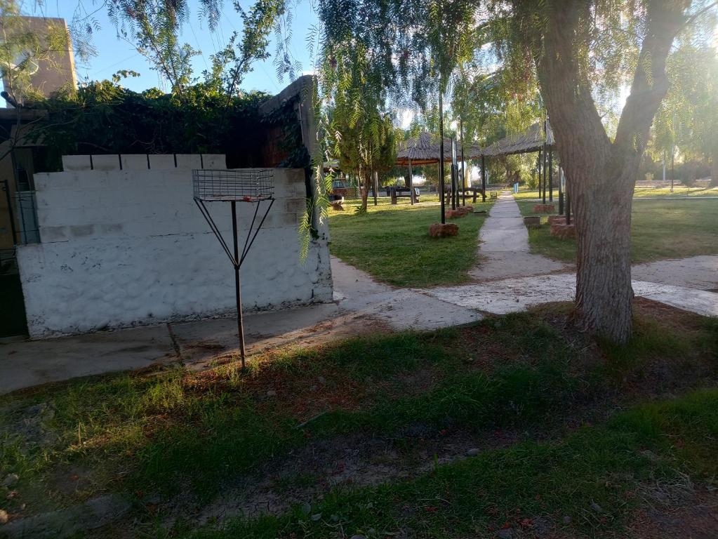 La casa de las Nonas - 5