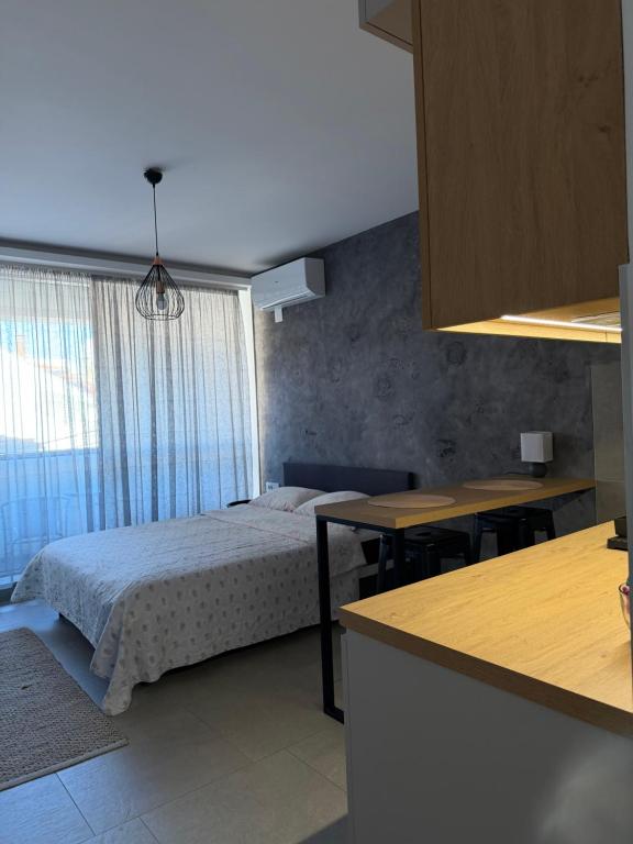 Apartment Niš - 3