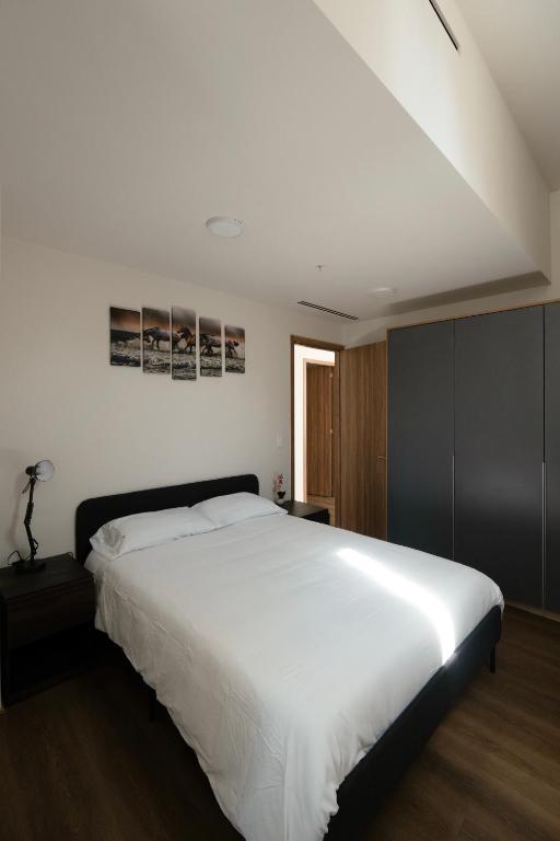 Furnished 2 Bedroom Apartment in Mexico City - 4
