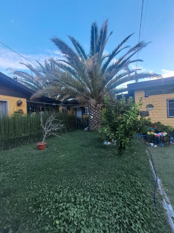HOSTAL EL AROMO Chillán - 1