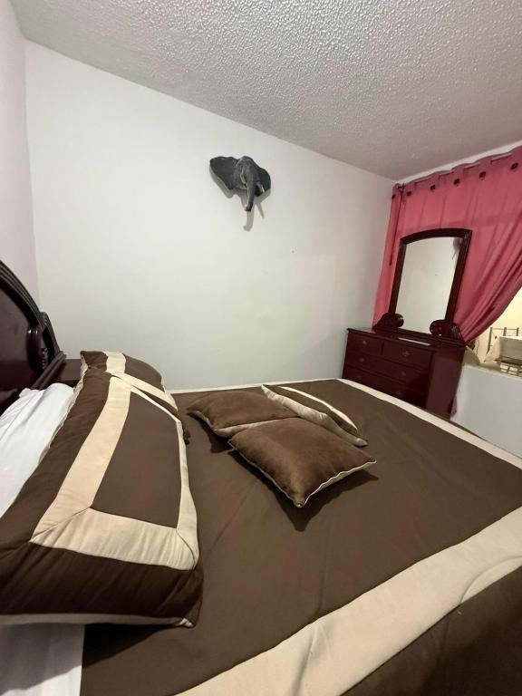 Acogedor Apartamento Pequeño e Independiente - 5