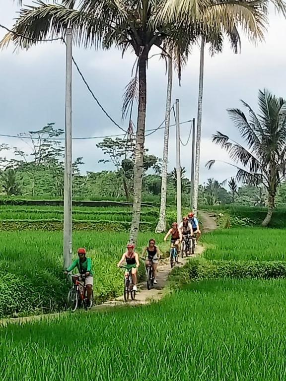 スポーツ/アクティビティ