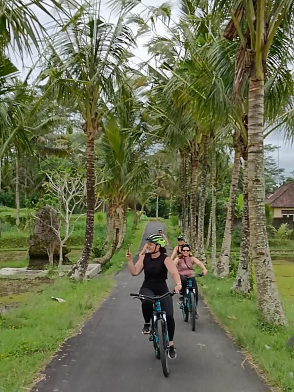 スポーツ/アクティビティ