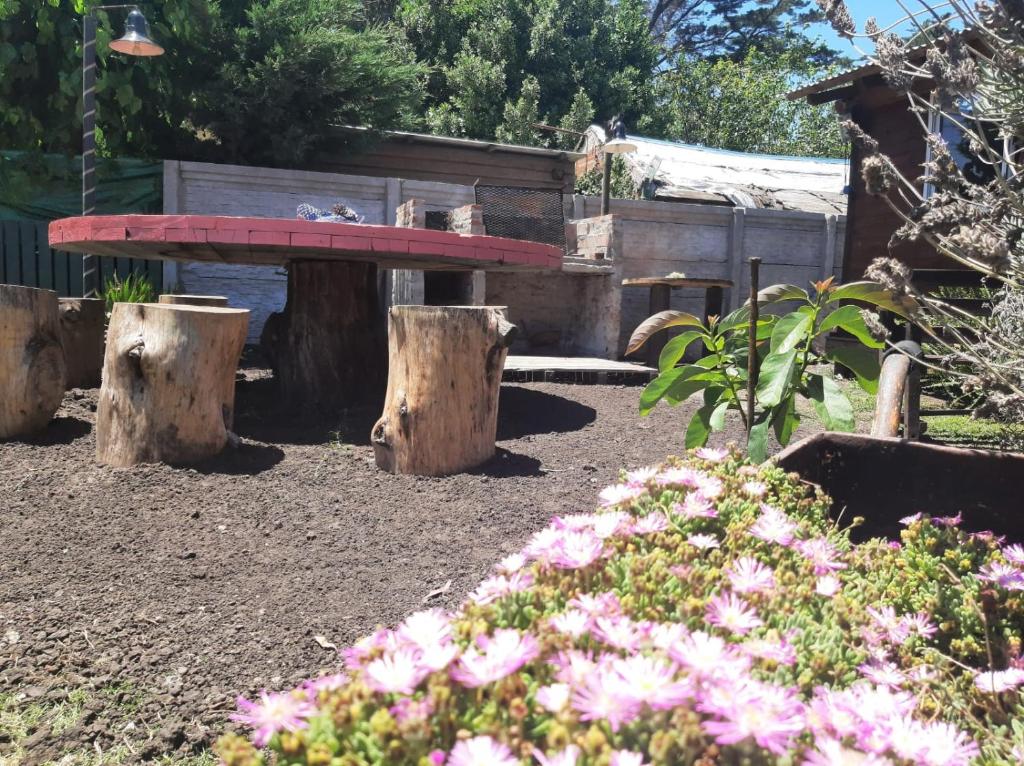 La casa de porota - 1