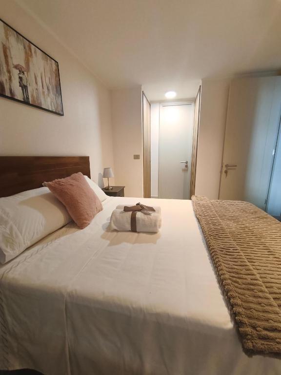 Cozy and modern apartment in Santiago - 2