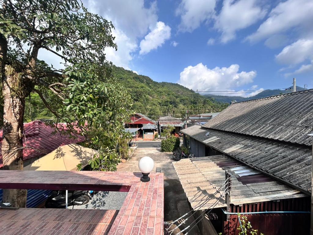 Ảnh 5