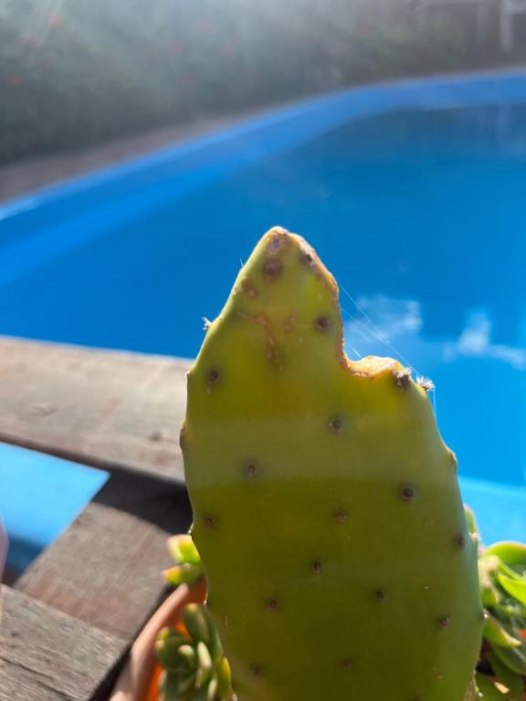 El Paraíso - 2
