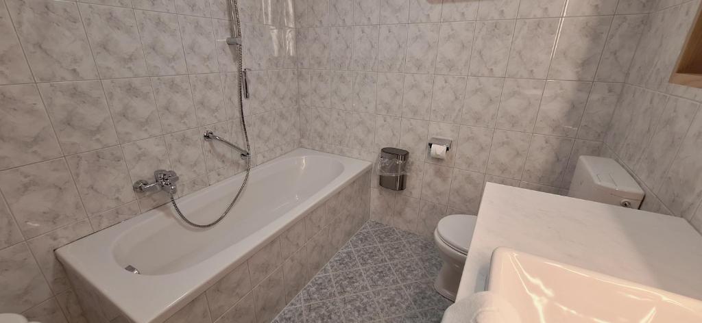 Apartment Inge - downtown Kaprun - 3