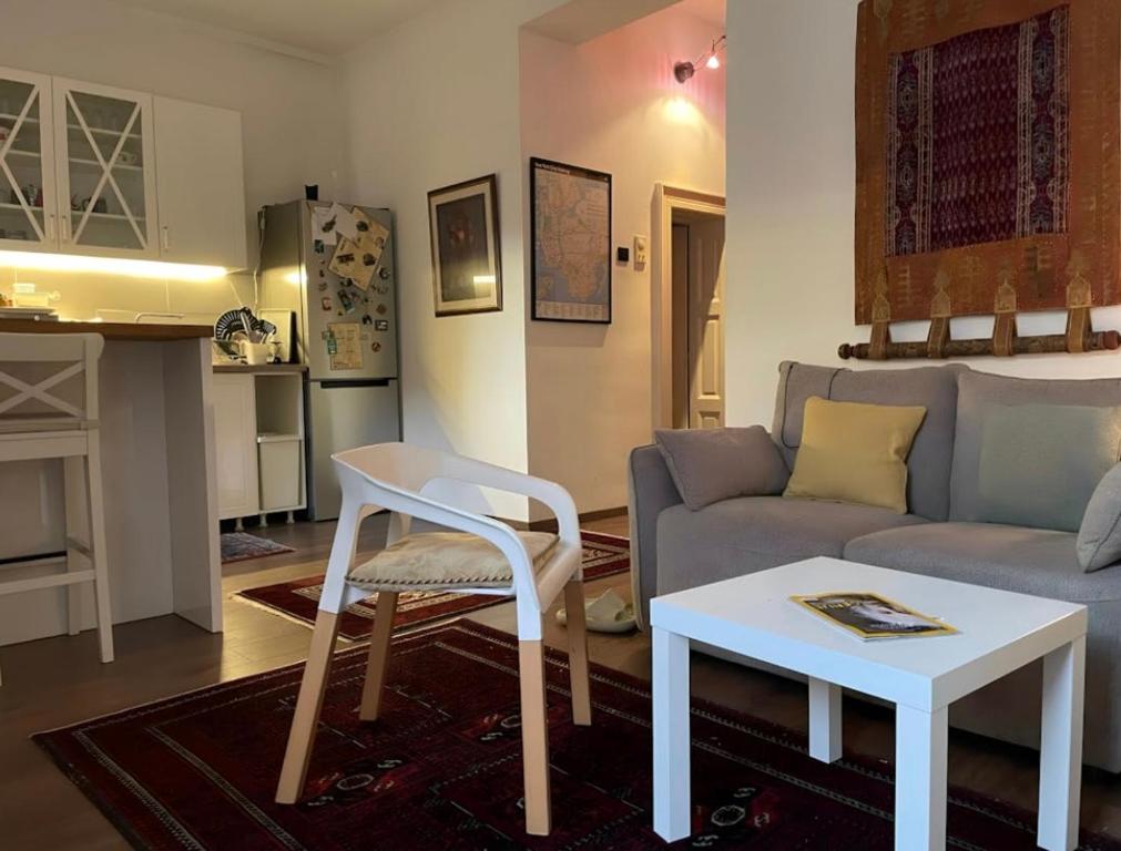 Historic and cozy Belgrade home - 2