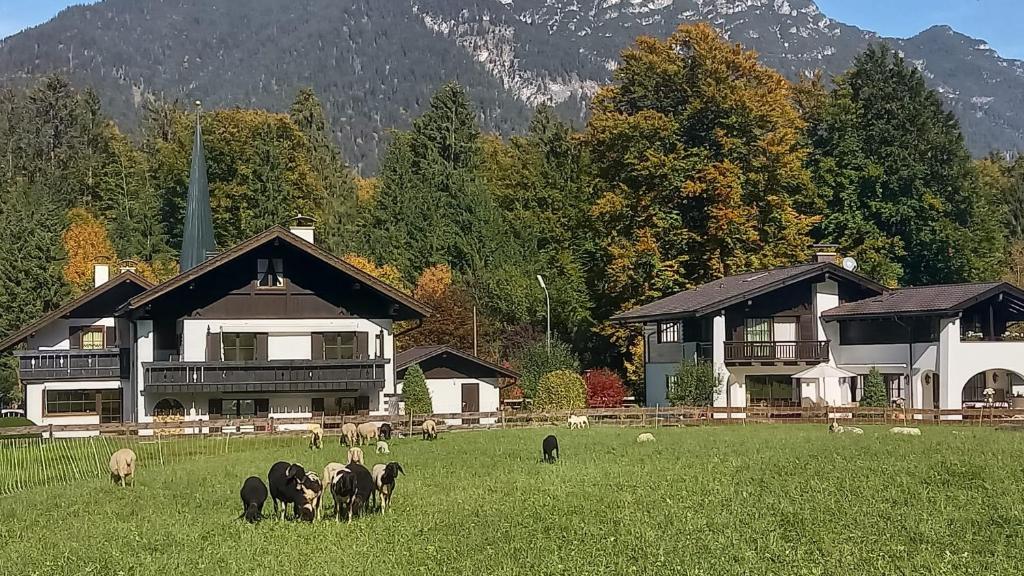 Frühholz - Das Ferienhaus - - 2