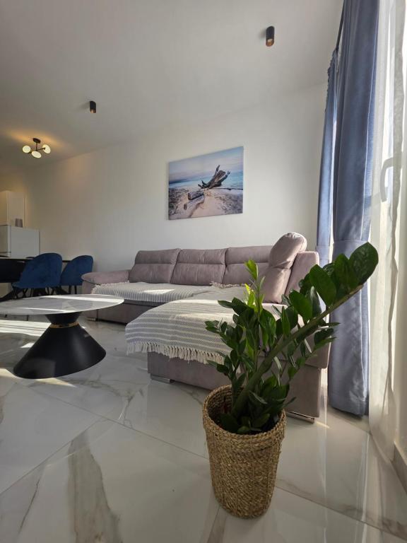 Aura Jugodrvo Apartman - 2