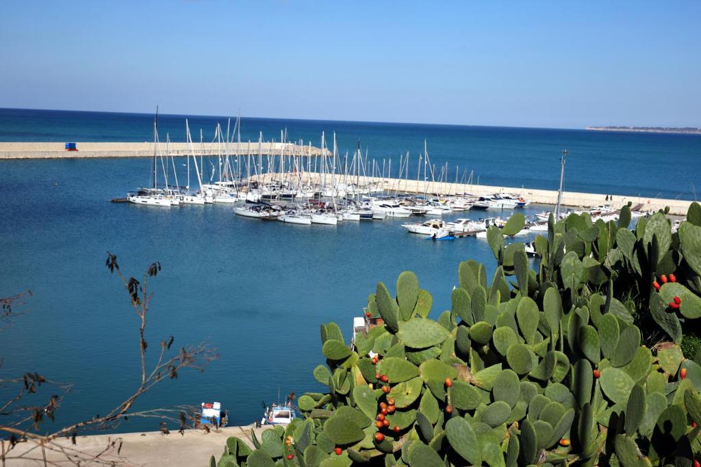 L'arco Sul Mare - 3