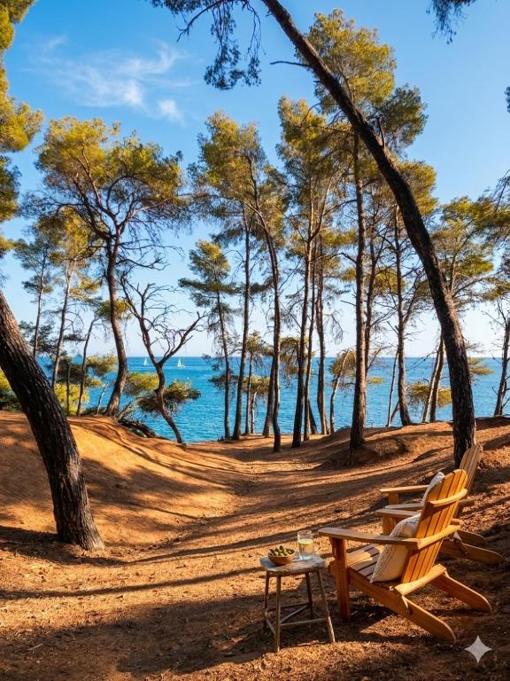 Plage à 2 min-Sous les pins - Balcon - Clim - T2 cosy - 4