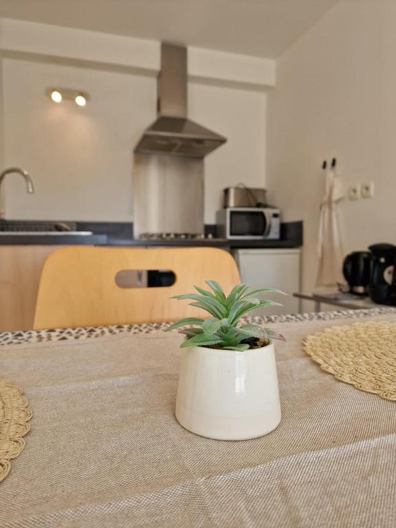 Pied à terre sur Vannes, parking gratuit - 1