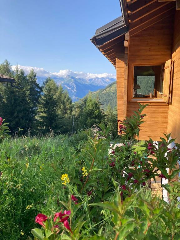 Chalet with stunning views, ideally located, deer nearby, ideal for families, not suitable for groups - 1