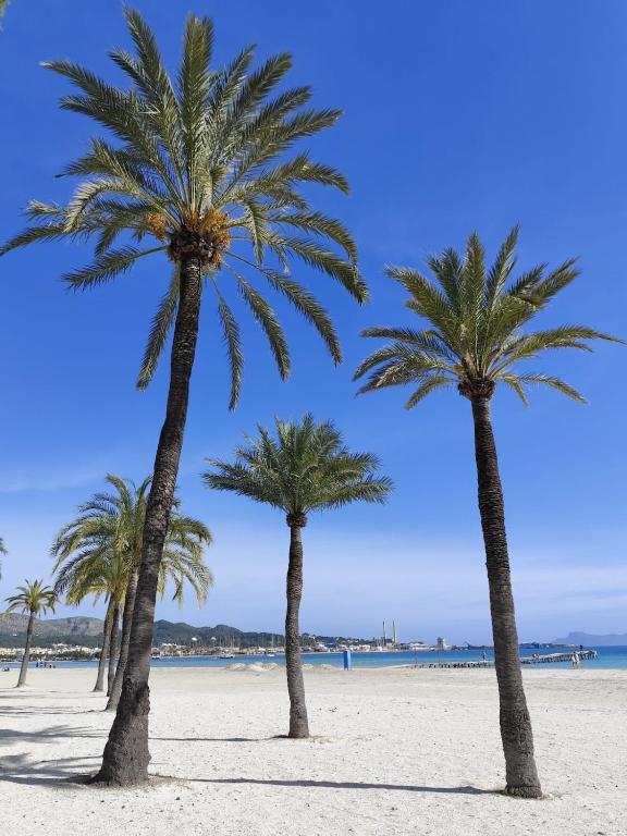 Sea View Escape in Port d'Alcudia max 4 Guests - 5