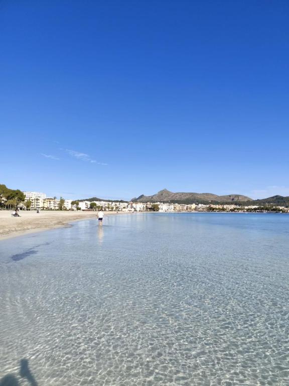 Sea View Escape in Port d'Alcudia max 4 Guests - 4