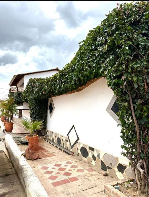 HOTEL HOSTERIA la PINTADA - 5