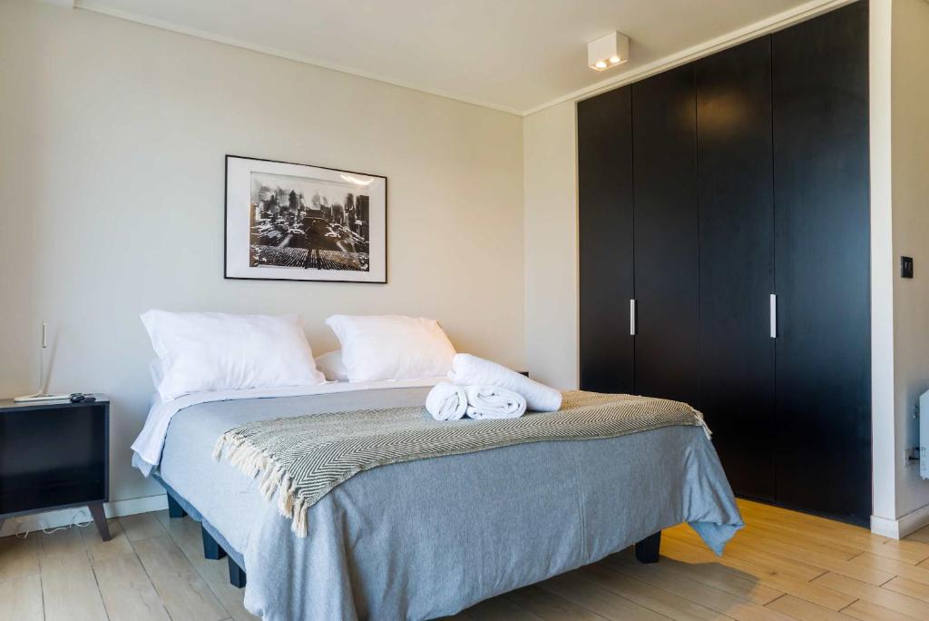Style and Comfort near Costanera Center - 5