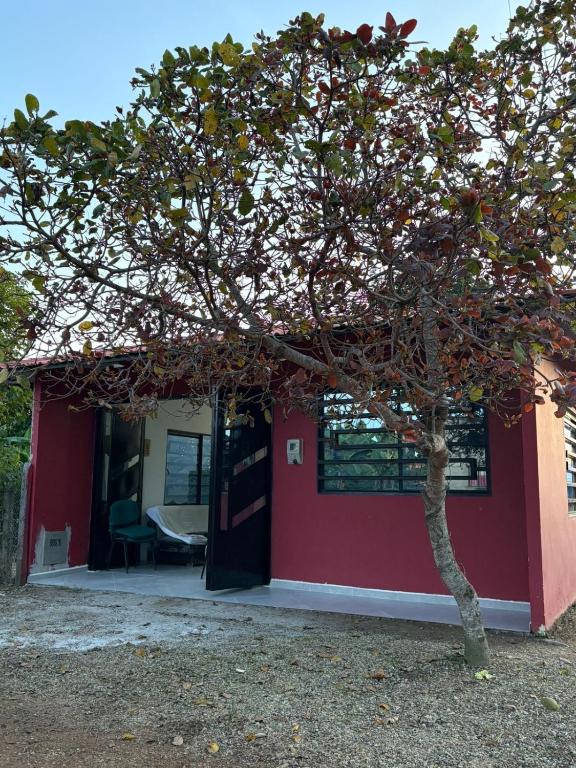 Rincón Llanero - 2