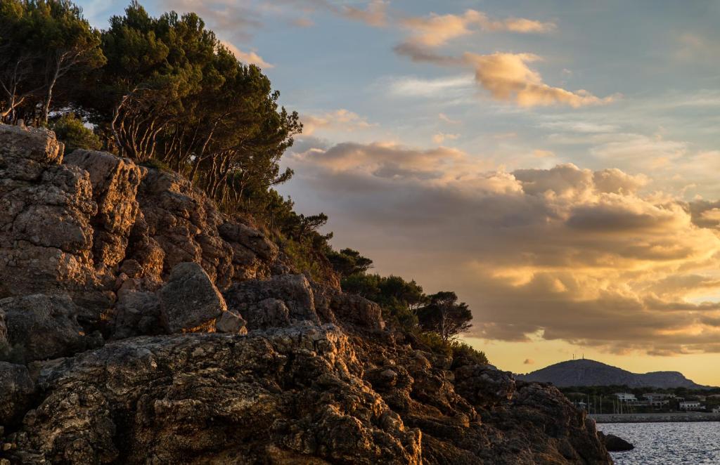 Petit Hotel Hostatgeria La Victoria — Attractions in the area in Alcudia, Balearic Islands