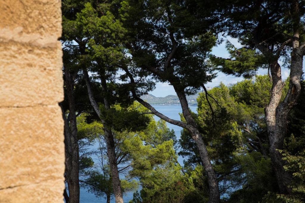 Petit Hotel Hostatgeria La Victoria — Attractions in the area in Alcudia, Balearic Islands