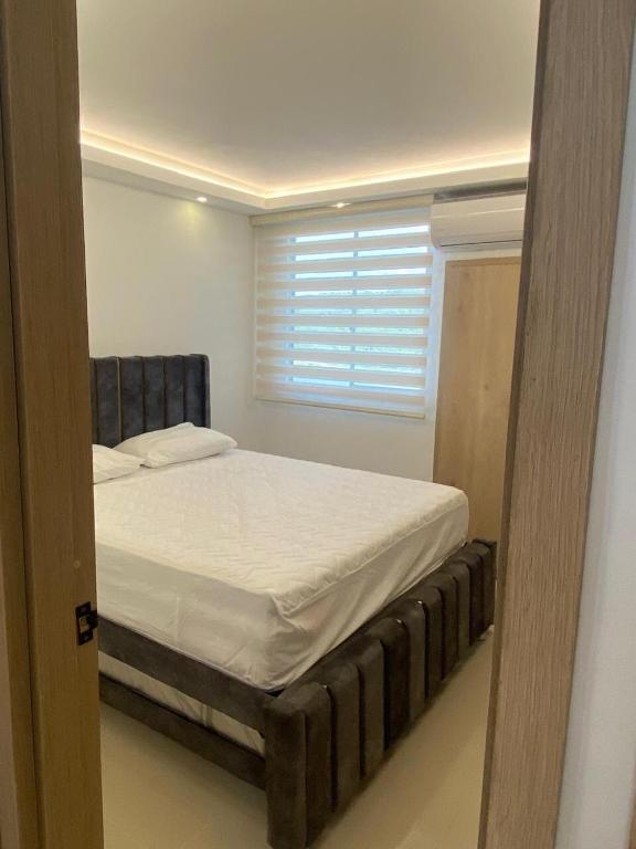 Dammar luxury - 2