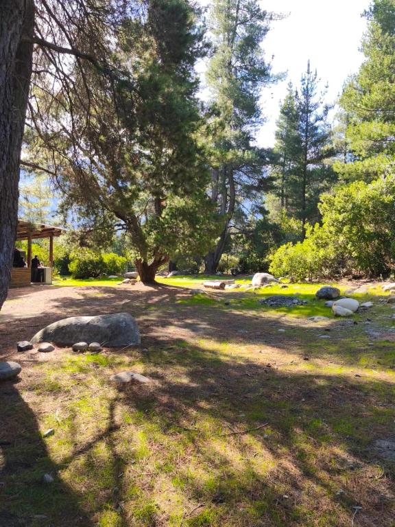 Nature & Relaxation Home in Los Queñes - 3