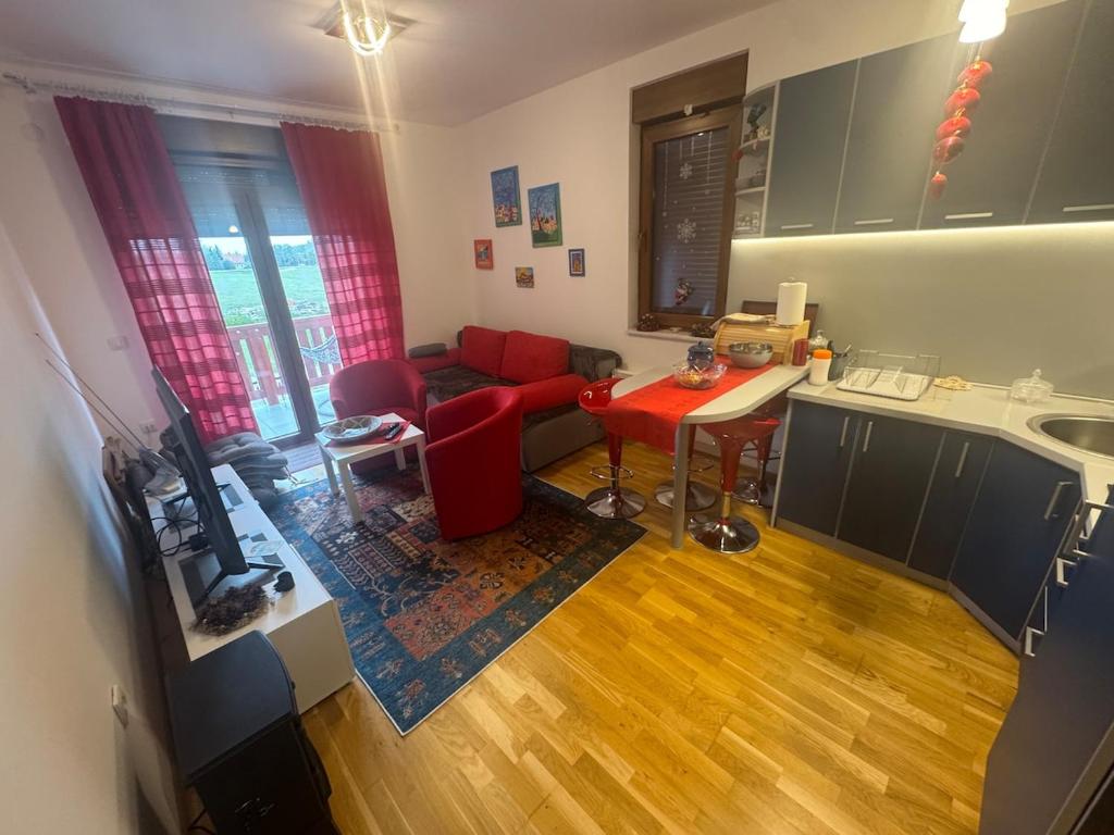 Modern apartment on Zlatibor - 1