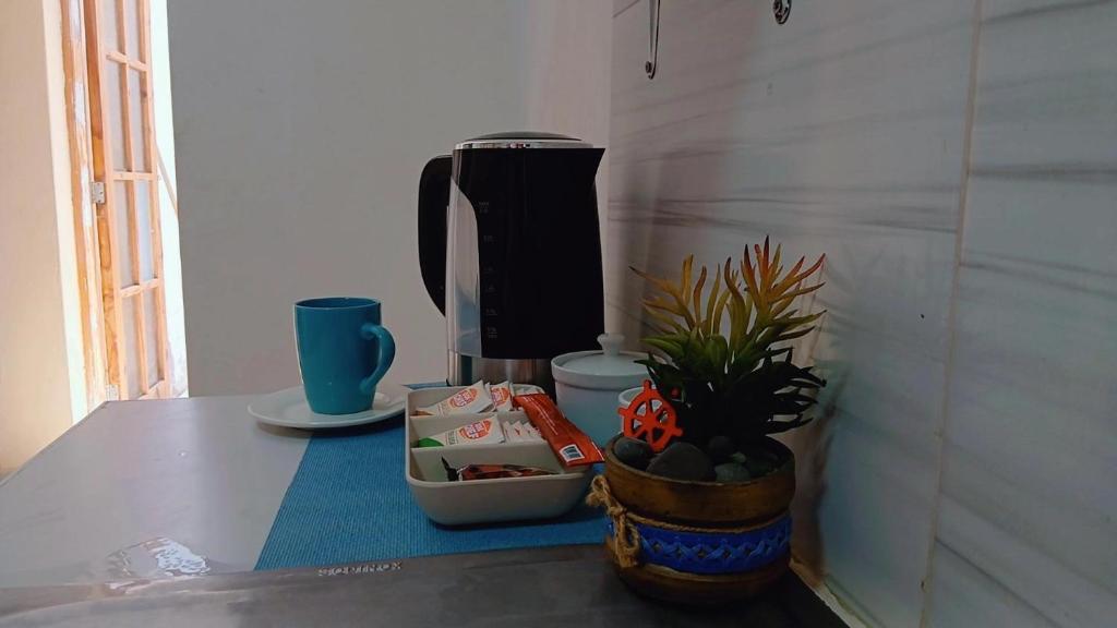 Casa Playa Pulpos 1st Floor, Garden and Grill - 4