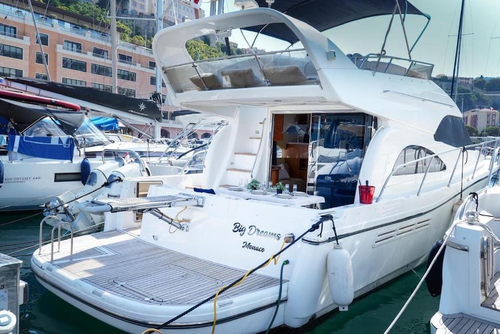 Yacht Experience in Monaco Harbour - 2