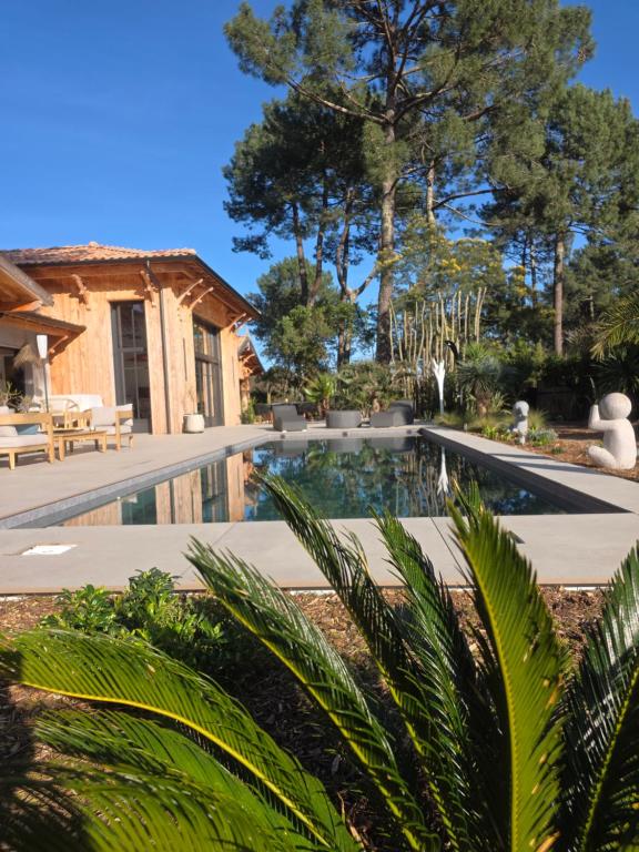 L'Eden, un petit paradis pour deux - 5