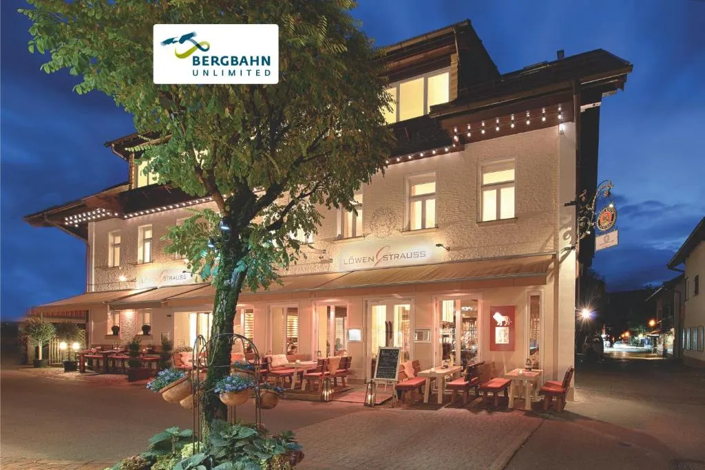 Alpin Lifestyle Hotel Löwen & Strauss