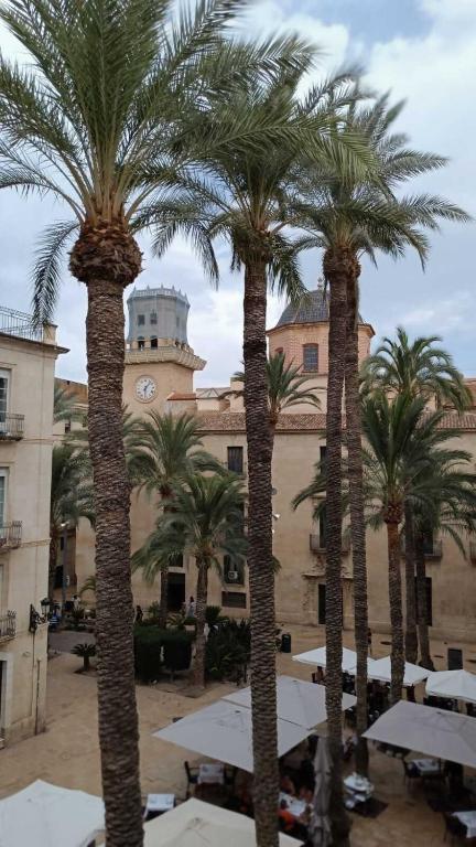 L'Atelier Casco Antiguo Alicante - 1