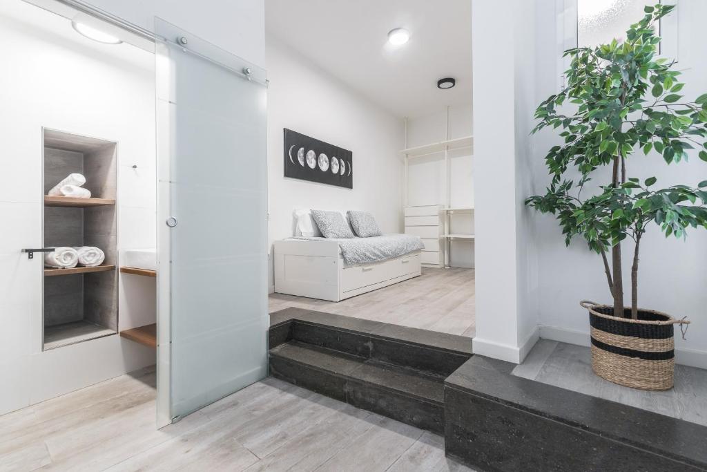 Canary Modern House - 5
