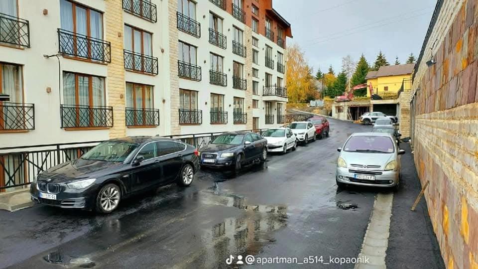 Kopaonik Mihajlović Apartman - 2